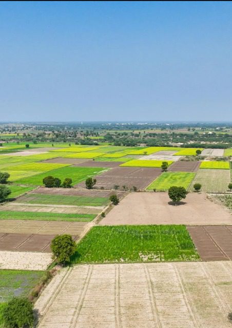 land Investment In Khopoli And Pali | Tithi Realtors